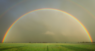arcobaleno 14 lista
